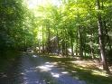 Driveway and cabin